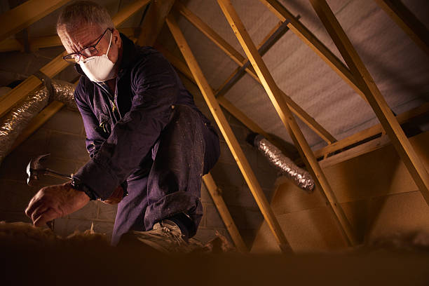 Best Insulation Maintenance and Repair in Cao, ND